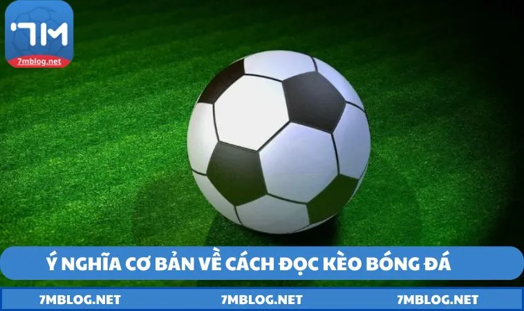 Y nghia co ban ve cach doc keo bong da Ý nghĩa cơ bản về cách đọc kèo bóng đá