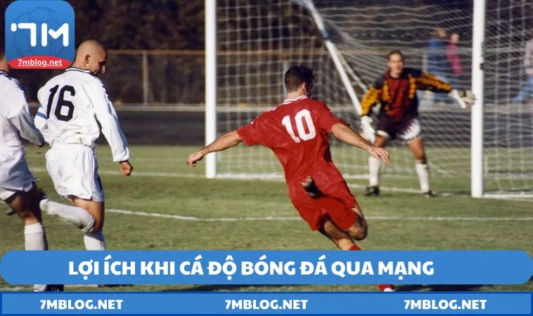 nhung loi ich noi bat khi ca do bong da qua mang Những lợi ích nổi bật khi cá độ bóng đá qua mạng