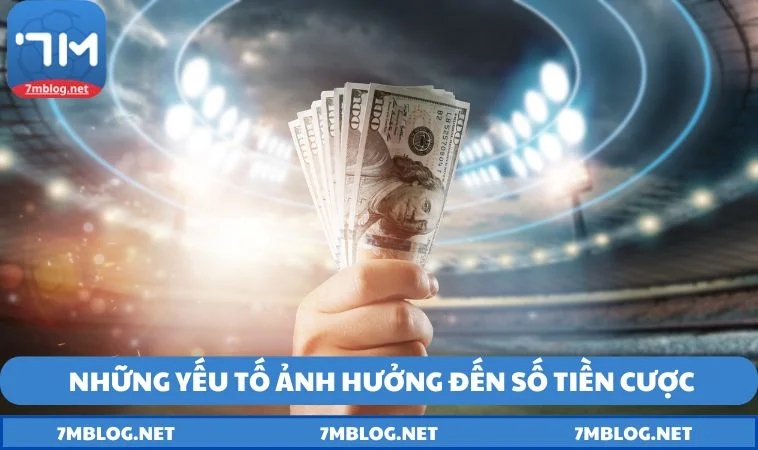 nhung yeu to anh huong den so tien cuoc Những yếu tố quan trọng có thể ảnh hưởng trực tiếp đến số tiền cược