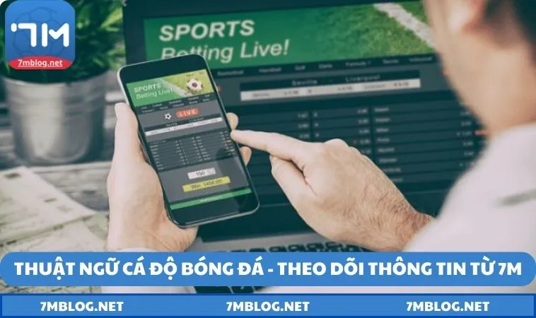 thuat ngu ca do bong da theo doi thong tin 7m Thuật ngữ cá độ bóng đá - Theo dõi thông tin từ 7M