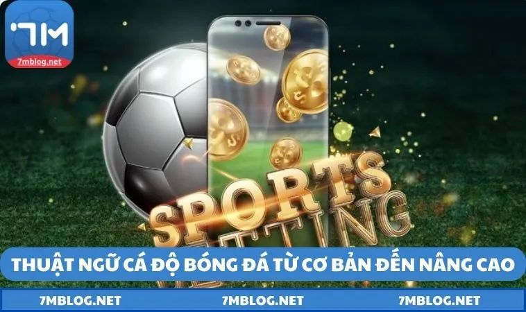 thuat ngu ca do bong da tu co ban den nang cao Thuật ngữ cá độ bóng đá từ cơ bản đến nâng cao tại 7M