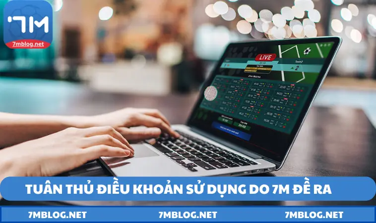 tuan thu dieu khoan su dung do 7m de ra Tuân thủ điều khoản sử dụng do 7M đề ra