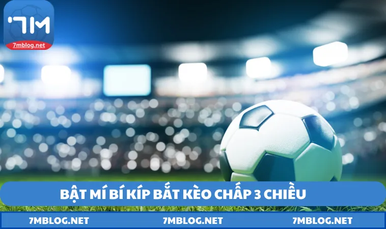 chien thuat bat keo ca do the thao de dang Chiến thuật bắt kèo cá độ thể thao dễ dàng