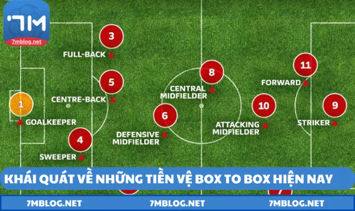 doi net ve cac tien ve box to Đôi nét về các tiền vệ box to box