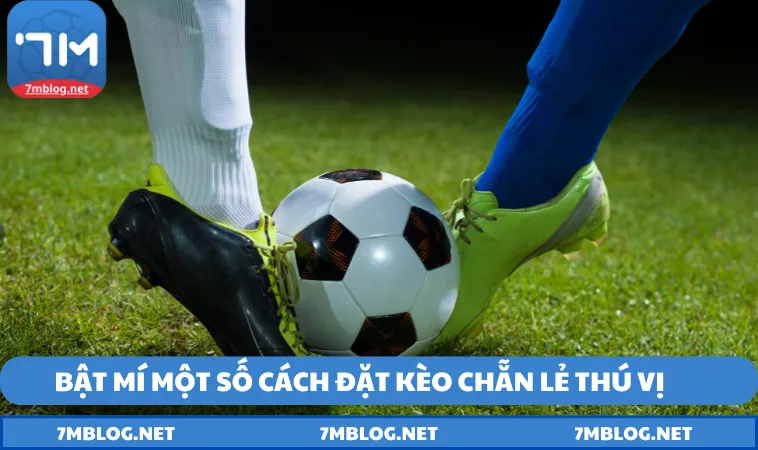 mot vai cach dat keo chan le tu cao thu Một vài cách đặt kèo chẵn lẻ từ cao thủ