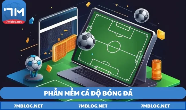 Phần mềm cá độ bóng đá