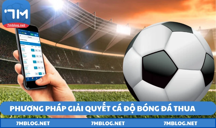 Phương pháp giải quyết tình trạng cá độ bóng đá luôn thua