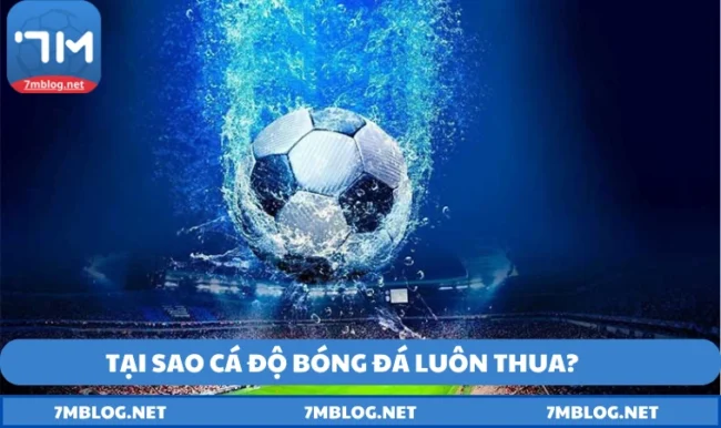 tại sao cá độ bóng đá luôn thua