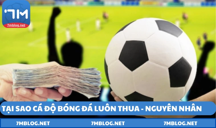 Tại sao cá độ bóng đá luôn thua - Nguyên nhân xuất phát