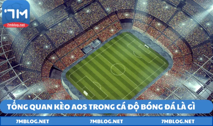 tim hieu mot so dac diem ve hinh thuc aos Tìm hiểu một số đặc điểm về hình thức AOS